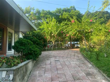 NGHIÊNG COMPLEX- CN SƠN LÂM TUYÊN QUANG