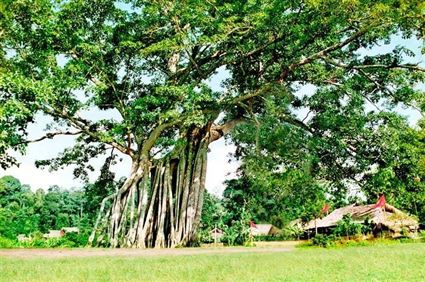 HỒ NÚI CỐC - CÂY ĐA TÂN TRÀO - ATK ĐỊNH HÓA – TAM ĐẢO