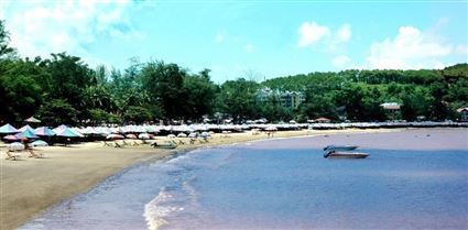HÀ NỘI - ĐỒ SƠN - HÀ NỘI
