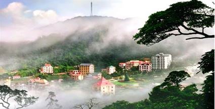 tamdao1-2